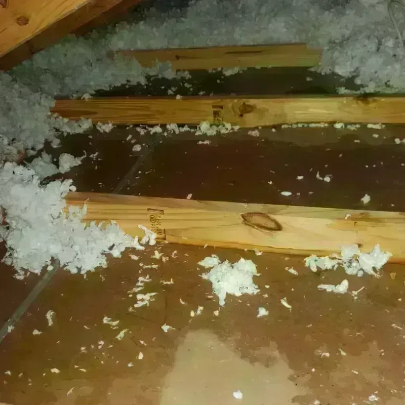 Attic Water Damage in Lawrence, MA