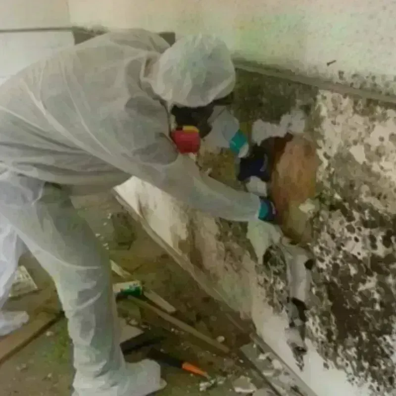 Mold Remediation and Removal in Lawrence, MA