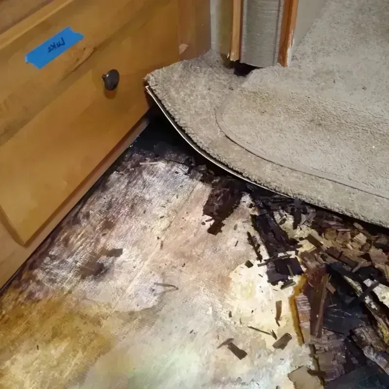 Best Wood Floor Water Damage Service in Lawrence, MA